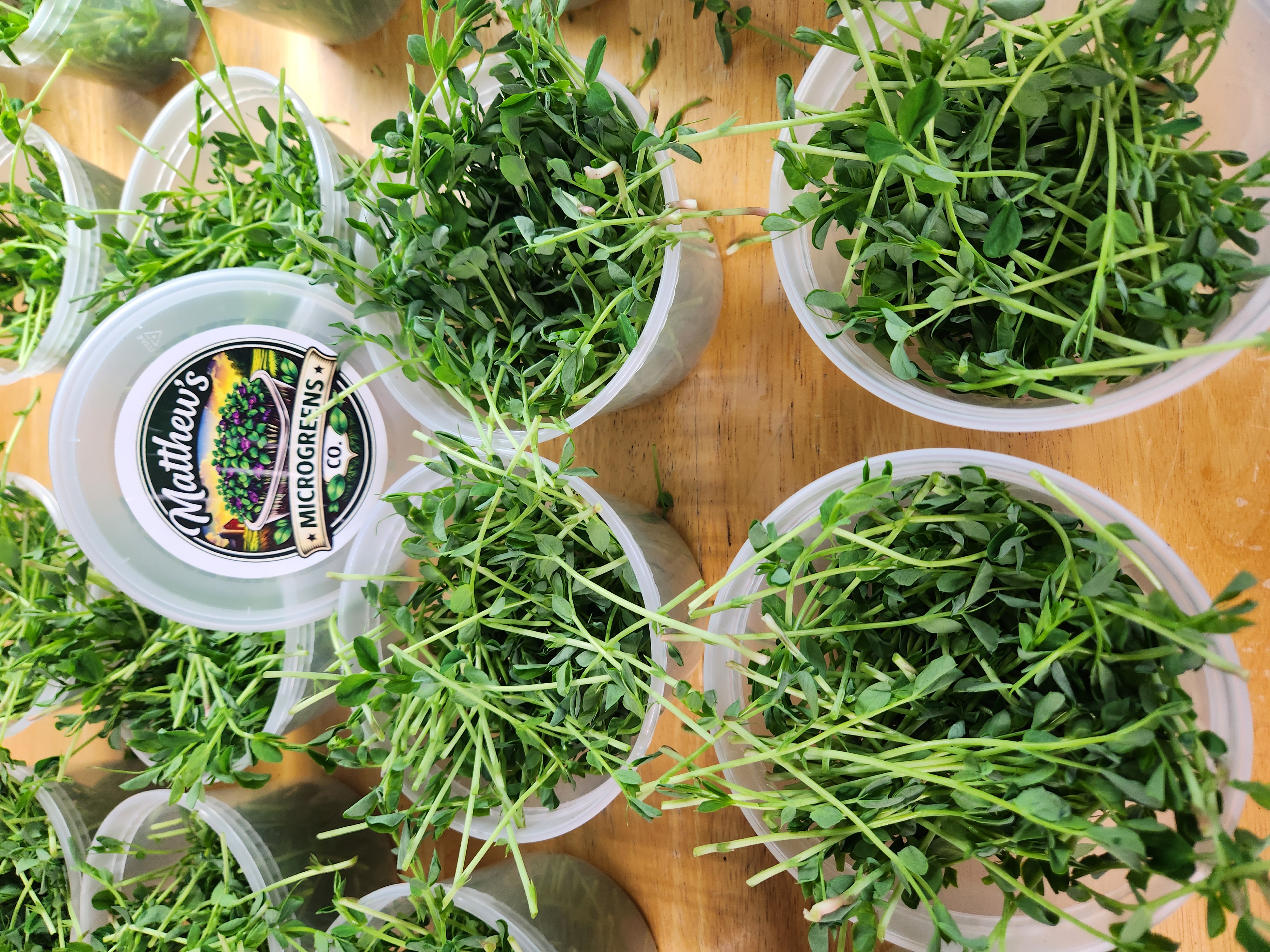 Matthew's Microgreens Co. branded product containers