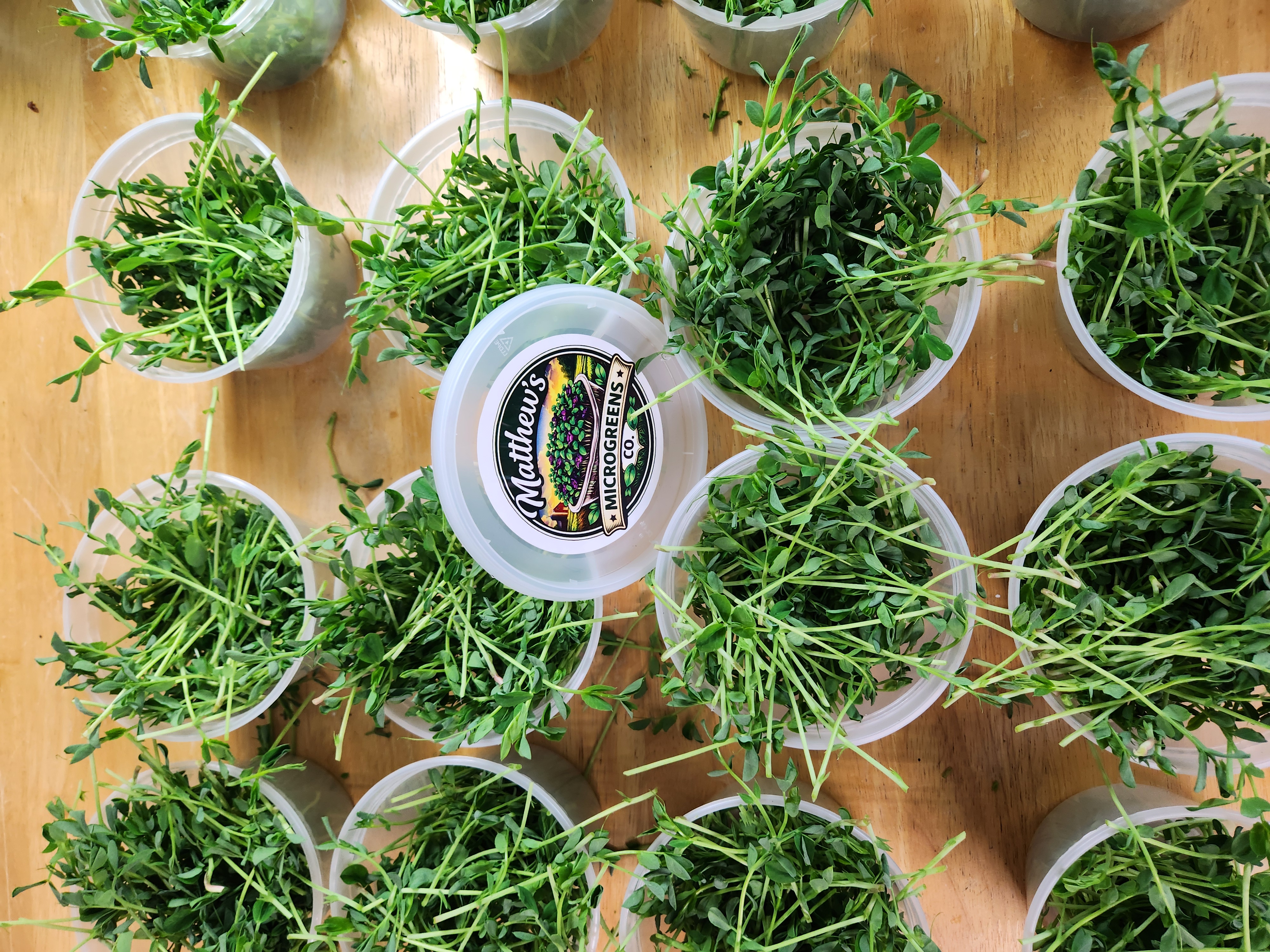 Matthew's Microgreens Co. — fresh pea shoot microgreens product