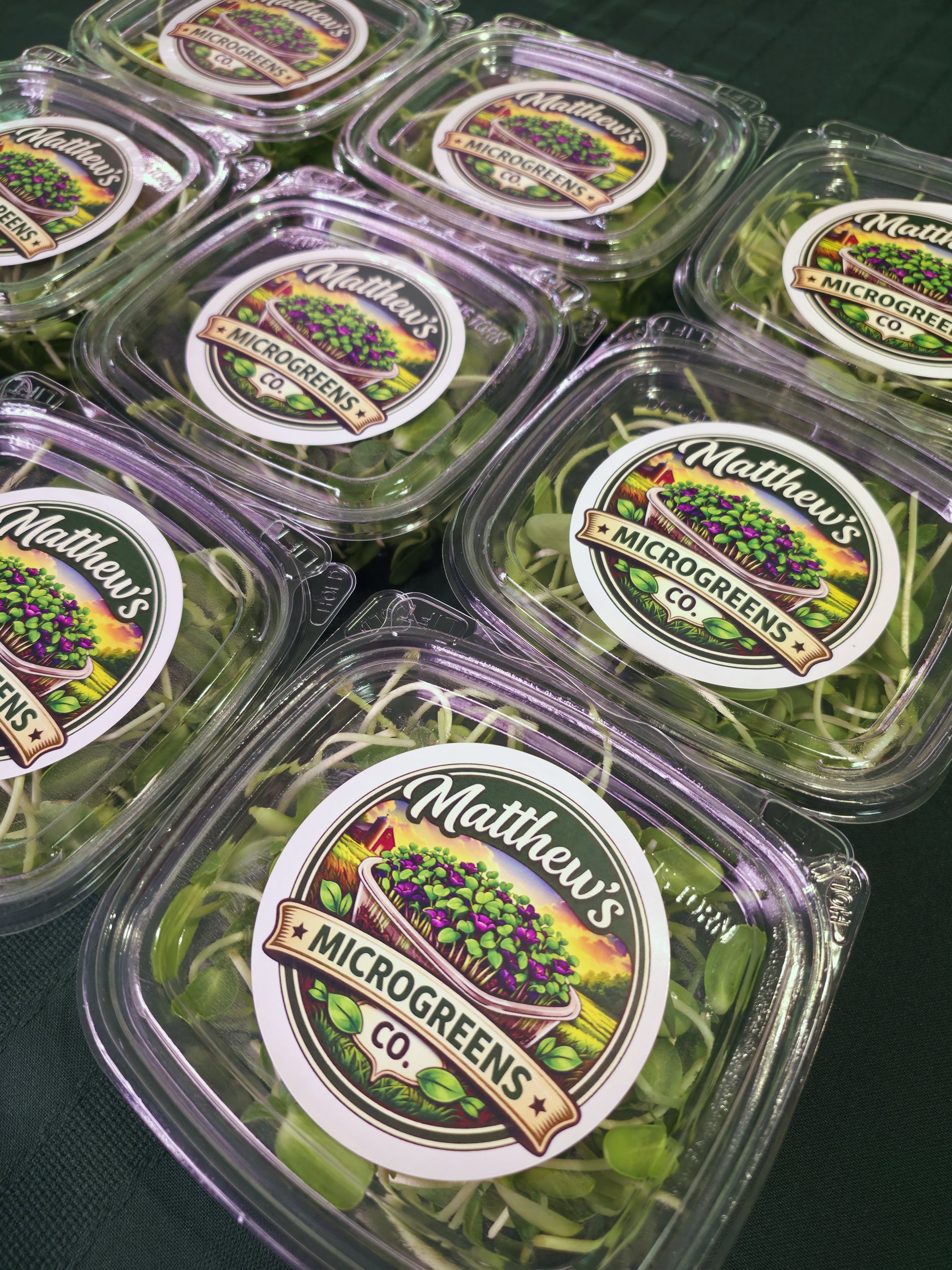 Freshly packed containers of Matthew's Microgreens Co. microgreens lined up after harvest