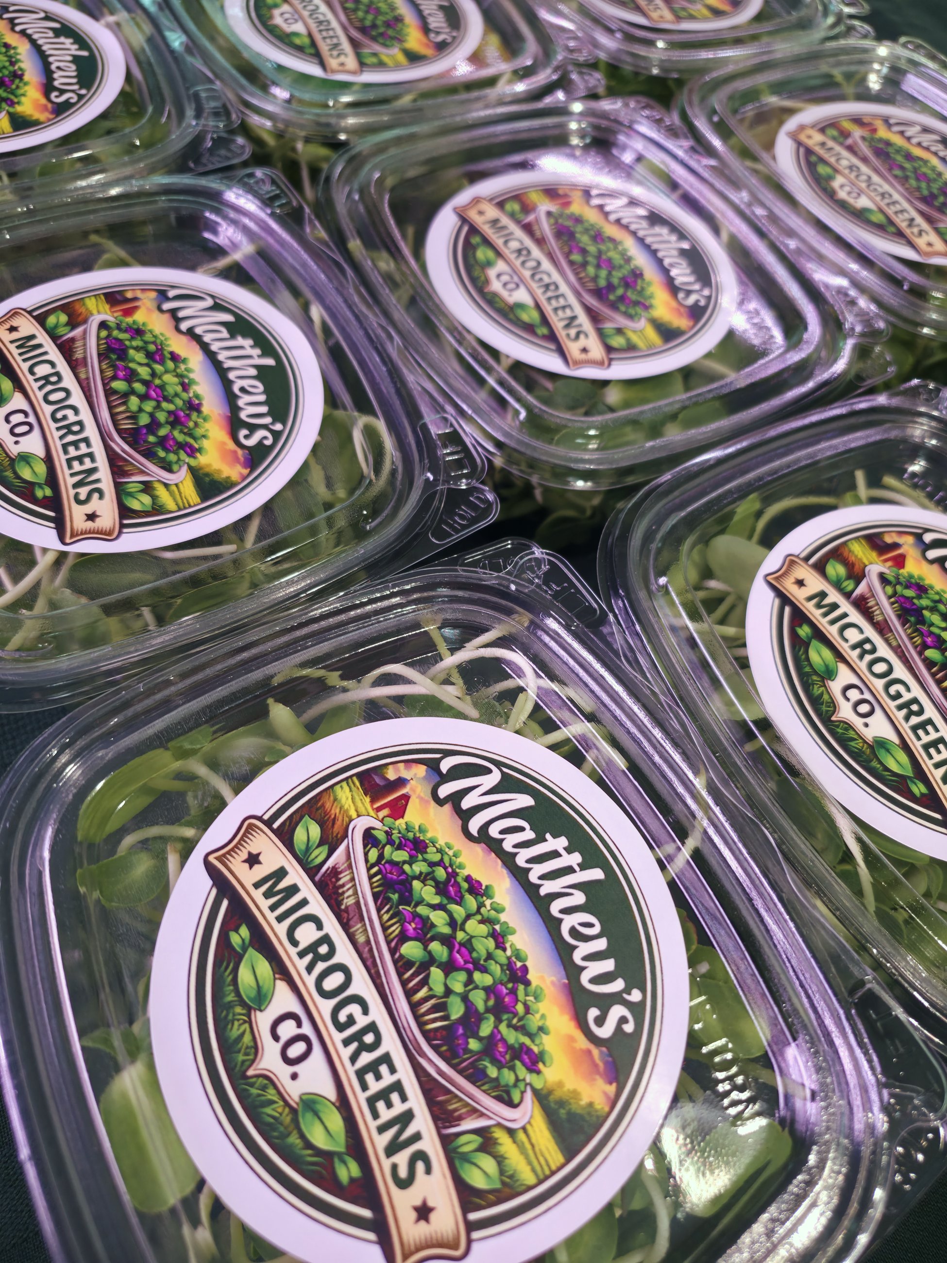Rows of packaged Matthew's Microgreens Co. containers ready for market
