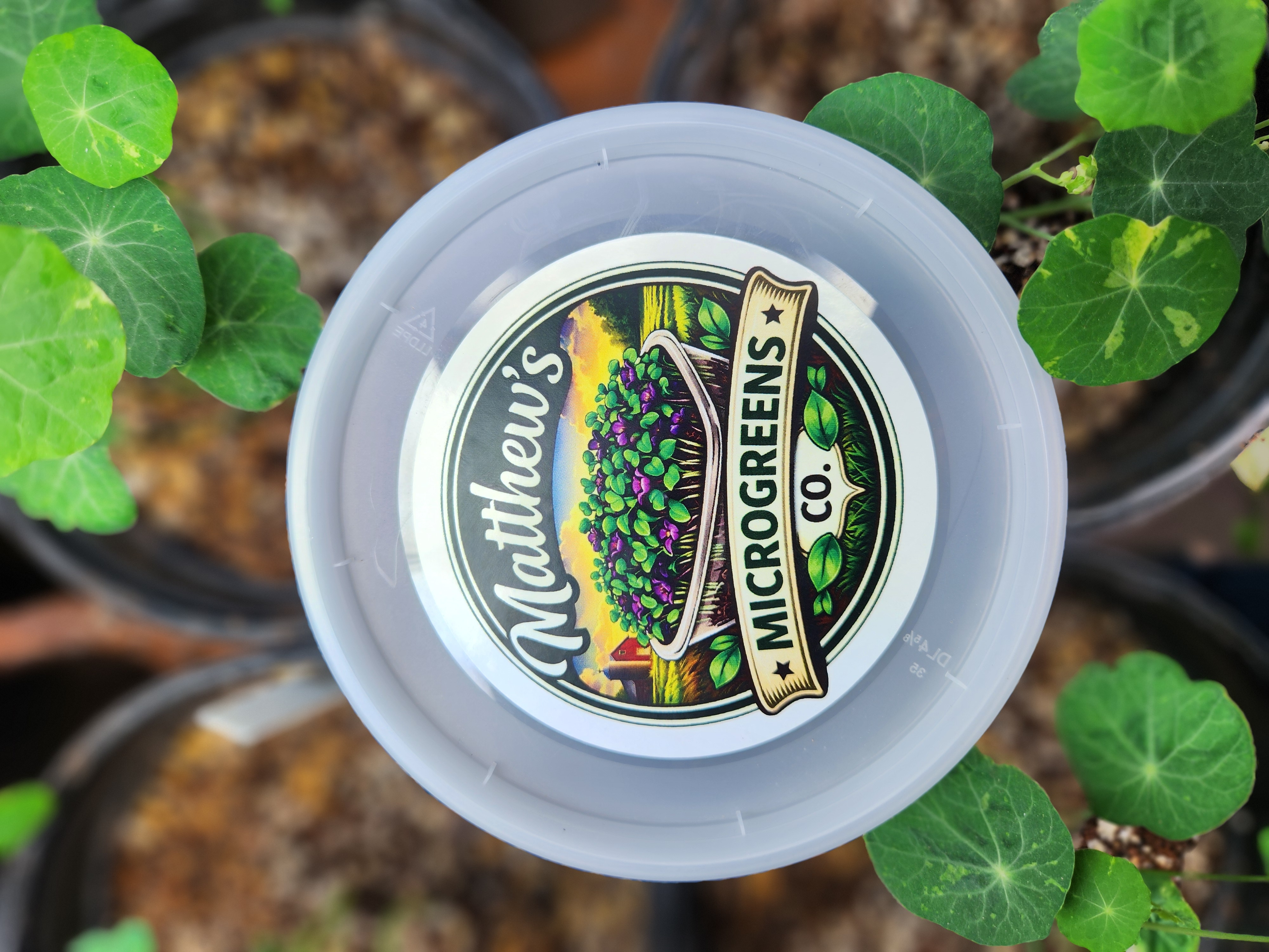 Matthew's Microgreens Co. fresh microgreens product